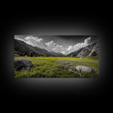 Mountain Meadow, Alpine Landscape, Nature Photography, Wildflower Field, Framed Canvas Print, Bedroom Wall Art, Summer Vibes, Scenic Escape