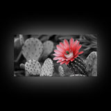 Pink Cactus Bloom, Desert Flower Closeup, Botanical Art, Canvas Print, Southwest Decor, Kitchen Wall Art, Nature Photography Print