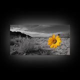 Yellow Flower, Desert Bloom, Monochrome Landscape, Canvas Print, Botanical Wall Art, Minimalist Nature Decor, Modern Kitchen Accent