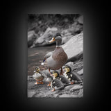 Duck Family, Nature Wildlife, Adorable Ducklings, Framed Canvas Print, Nursery Animal Wall Art, Cozy Farmhouse Decor, Fall Art Print