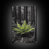 Green Fern, Forest Focus, Lush Nature, Woodland Light, Framed Canvas Print, Botanical Wall Art, Bedroom Decor, Minimalist Plant Art