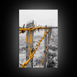 Yellow Fence Wire, Rustic Barbed Wire, Country Fence, Framed Canvas Print, Farmhouse Wall Art, Minimalist Rustic Home Decor