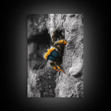 Fuzzy Bee Closeup, Insect Macro, Nature Texture, Framed Canvas Print, Wildlife Wall Art, Entomology Decor, Nature Photography