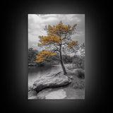 Golden Tree View, Nature Serenity, Fall Lake Art, Peaceful Pine, Framed Canvas Print, living room wall art, minimalist landscape print