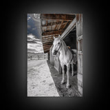 White Horse, Western Ranch, Rustic Stable, Cowboy Framed Canvas Print, Farmhouse Wall Art, Country Living Room Decor, Black White Art