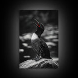 Loon Call, Singing Bird, Red Beak, Monochrome Framed Canvas Print, Wildlife Wall Decor, Bird Lover Wall Art, Rustic Cabin Accent
