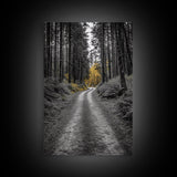 Forest Path, Yellow Trees, Autumn Trail, Framed Canvas Print, Fall Wall Art, Woodland Nature Decor, Cozy Home Accent, Entryway Artwork