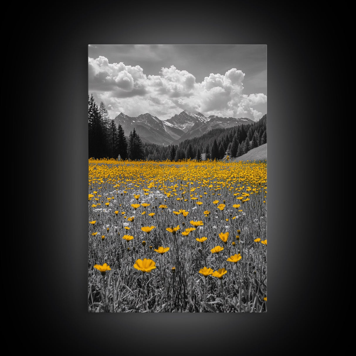 Yellow Wildflowers, Mountain Field, Blooming Meadow, Framed Canvas Print, Nature Photography, Rustic Decor, Dining Room Wall Art