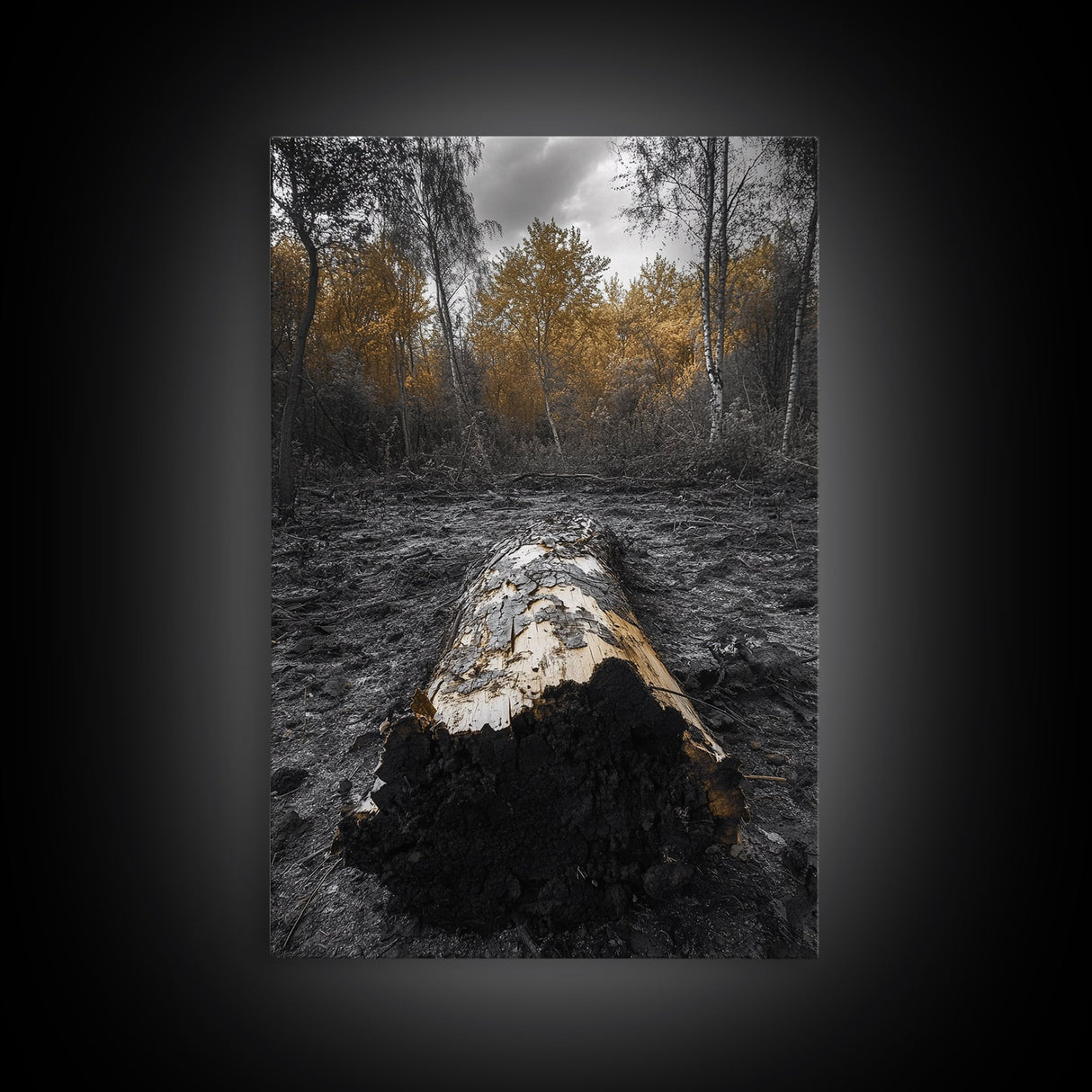Fallen Log, Autumn Forest, Nature Transition, Framed Canvas Print, Rustic Fall Decor, Cabin Wall Art, Woodland Photography