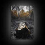 Fallen Log, Autumn Forest, Nature Transition, Framed Canvas Print, Rustic Fall Decor, Cabin Wall Art, Woodland Photography