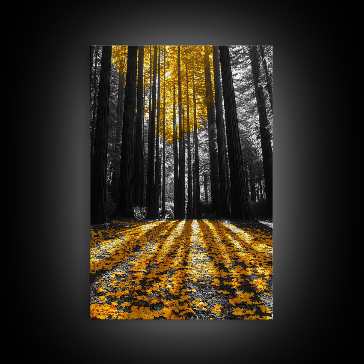 Golden Forest Light, Fall Leaves, Tall Trees Shadows, Tranquil Scene, Framed Canvas Print, Autumn Wall Art, Boho Living Room Decor
