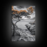 Coastal Tree, Ocean Horizon, Windswept Shoreline, Tranquil Mood, Framed Canvas Print, Minimalist Wall Art, Neutral Tones, Zen Decor