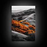 Autumn Hills, Vibrant Trees, Countryside View, Framed Canvas Print, Fall Landscape Art, Farmhouse Decor, Cozy Living Room Accent