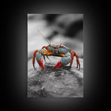 Blue Crab, Vibrant Shell, Coastal Creature Art, Framed Canvas Print, Bathroom Wall Art, Nautical Theme Decor, Ocean Wildlife Art