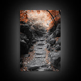 Rocky Trail, Autumn Leaves, Forest Path, Framed Canvas Print, Fall Nature Wall Art, Rustic Entryway Decor, Hiking Landscape Art