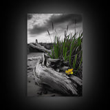 Wild Bloom, Yellow Flower, Driftwood and Grass, Moody Beach Scene, Framed Canvas Print, Autumn Wall Art, Nature Decor, Cozy Home Accent