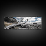 Driftwood, Coastal Tree, Beach Skeleton, Ocean Landscape, Framed Canvas Print, Coastal Decor, Neutral Tones, Office Wall Art