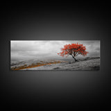 Red Tree, Hilltop Vista, Fall Landscape, Vibrant Nature, Framed Canvas Print, Autumn Wall Art, Living Room Nature Photography