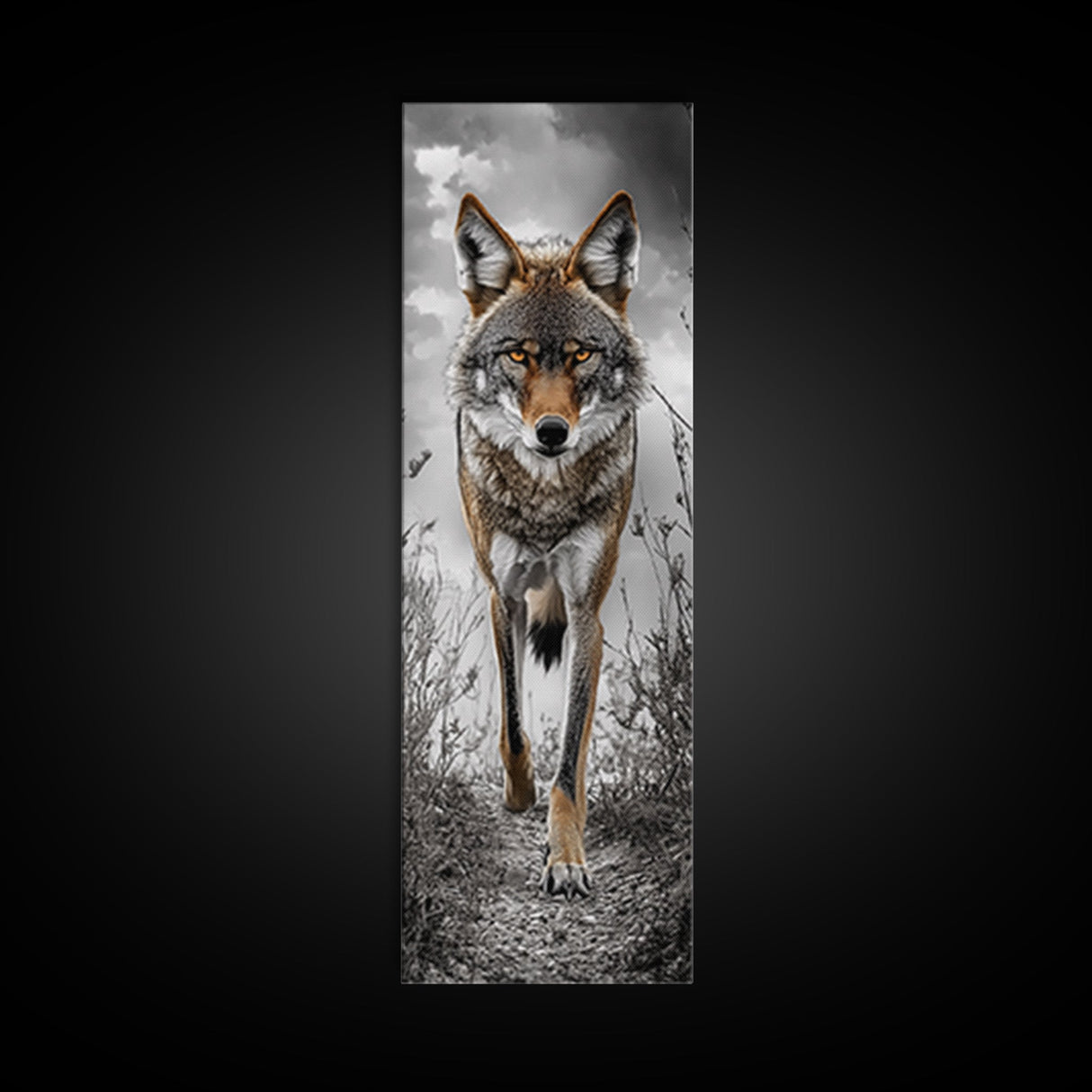 Intense Coyote Stare Framed Canvas Print | Wildlife Wall Art | Rustic Decor | Moody Art | Southwest Wall Art | Above Sofa Art | Gift Idea