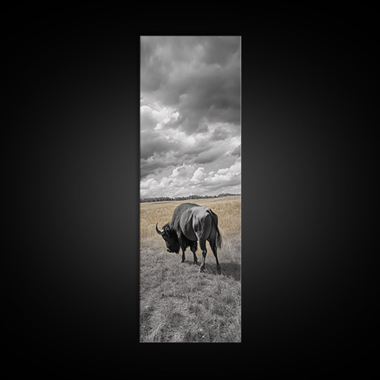 Lone Bison in Field Framed Canvas Print | Rustic Wall Art | Moody Art | Wildlife Painting | Farmhouse Decor | Southwest Wall Art | Gift Idea