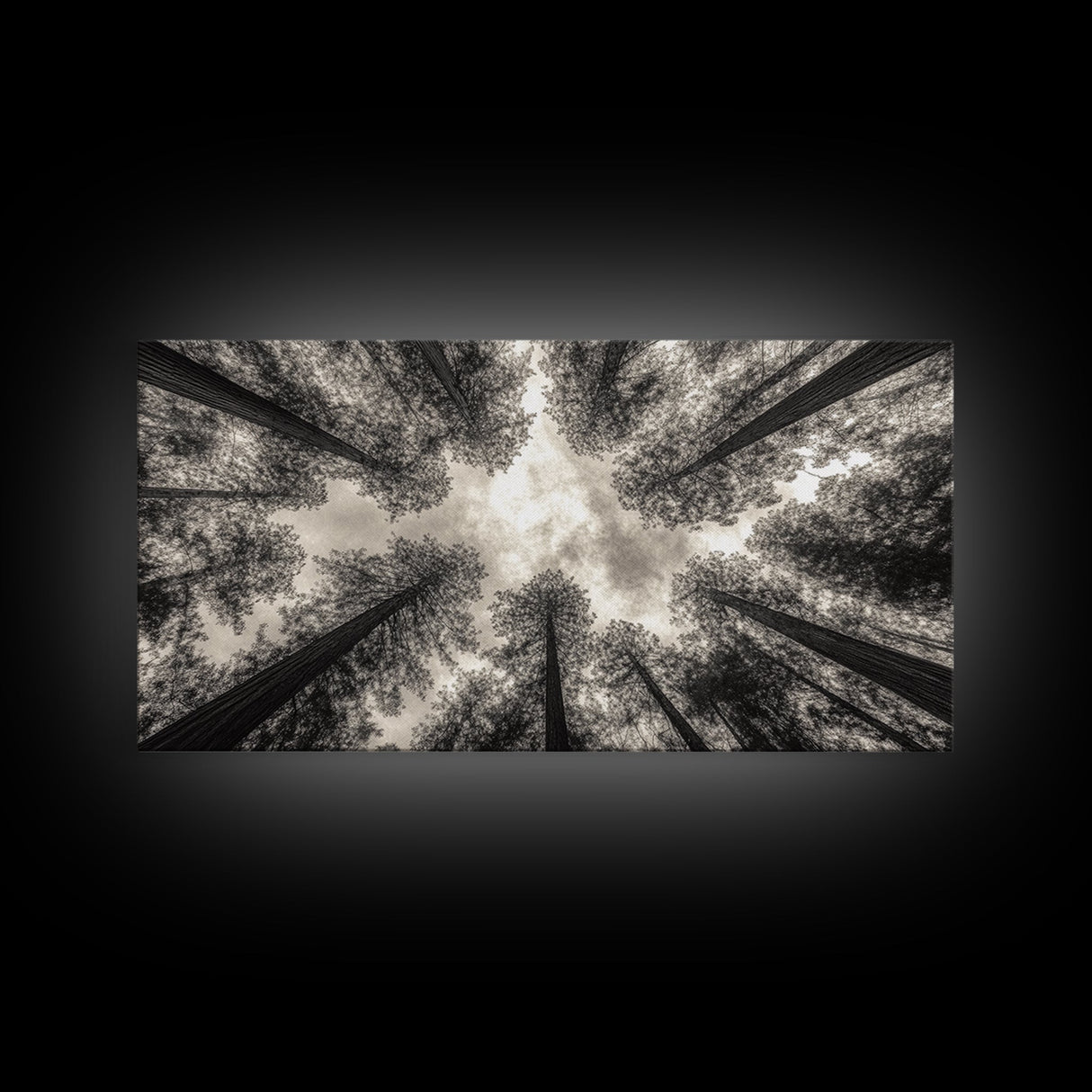 Redwood Trees, Pine Tree Art, Nature Photography, Joshua Tree Art, Extra Wide Art, Forest at Dusk Painting, Canvas Print