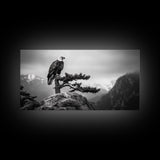 Majestic Bald Eagle, pine tree art, bird art, nature photography, mountain painting, wildlife art, extra wide art, framed canvas print
