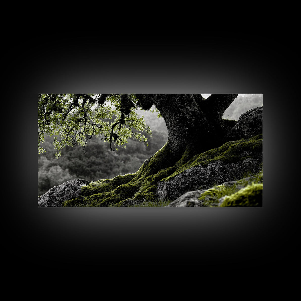 Mossy Oak Tree, oak tree art, nature wall art, rustic art, botanical prints, green wall art, extra wide art, Framed Canvas Print