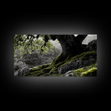 Mossy Oak Tree, oak tree art, nature wall art, rustic art, botanical prints, green wall art, extra wide art, Framed Canvas Print