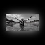 Longhorn in Water, rustic art, western decor, bull and bear art, cowboy wall art, farmhouse art, panoramic art, Framed Canvas Print