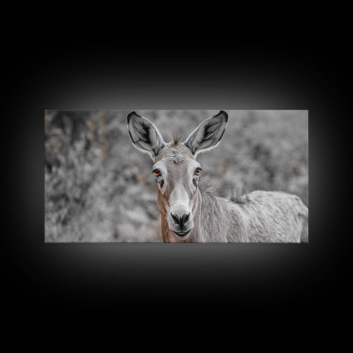 Donkey Close-Up Framed Canvas Print | Rustic Farmhouse Art | Moody Animal Portrait | Southwest Wall Art | Extra Wide Art | Above Couch Decor