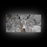 Donkey Close-Up Framed Canvas Print | Rustic Farmhouse Art | Moody Animal Portrait | Southwest Wall Art | Extra Wide Art | Above Couch Decor