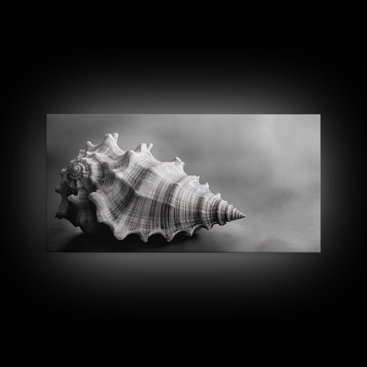 Sea Shell, Wabi Sabi Art, Coastal Decor, Minimalist Art, Nautical Wall Art, Moody Art, Extra Wide Art, Framed Canvas Print