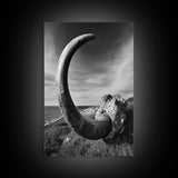 Ancient Horn, ozymandias art, rustic wall art, moody decor, nature landscape art, wabi sabi art, framed canvas print, farmhouse decor