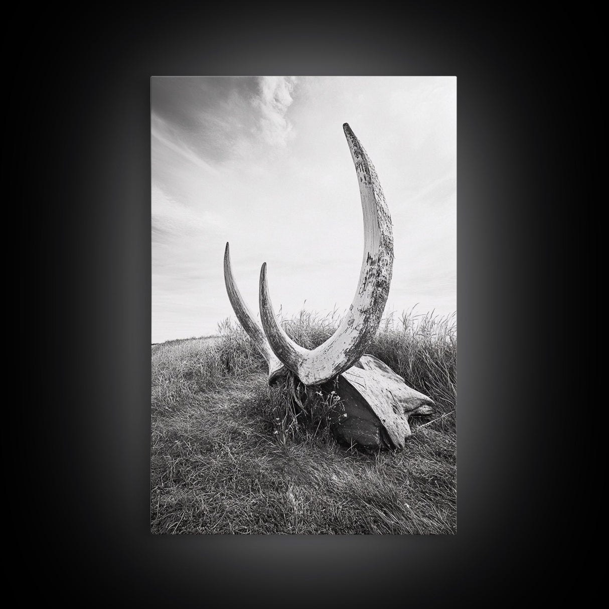 Large horns, rustic skull, bull and bear art, moody wall art, desert decor, cowboy aesthetic, framed canvas print, minimalist art