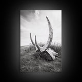 Large horns, rustic skull, bull and bear art, moody wall art, desert decor, cowboy aesthetic, framed canvas print, minimalist art