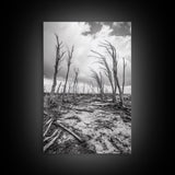 Windblown Trees, stormy sky, moody landscape, wabi sabi art, black and white, framed canvas print, rustic decor, nature photography