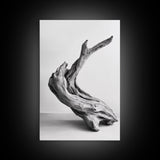 Driftwood Sculpture, wabi sabi art, rustic decor, minimalist art, botanical prints, farmhouse art, framed canvas print, living room art