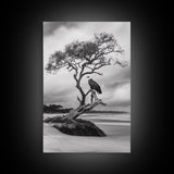 Bald eagle, nature wall art, moody art, wildlife photography, tree art, black and white art, above bed wall art, framed canvas print