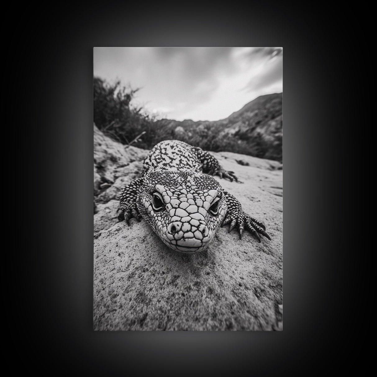 Lizard art, wildlife photography, moody art, desert decor, black and white photography, wabi sabi wall art, framed canvas print, unique gift