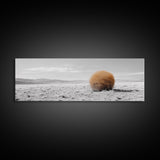 Tumbleweed, Desert Landscape, Southwest Wall Art, Minimalist Art, Extra Wide Art, Panoramic Art, Framed Canvas Print, Wabi Sabi Art