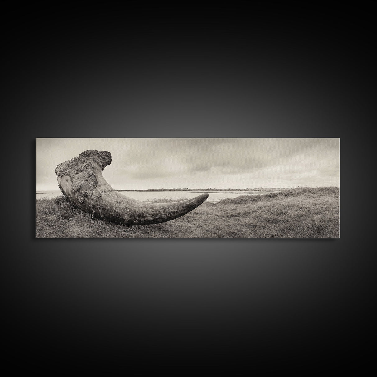Driftwood Sculpture, Wabi Sabi Art, Canvas Print, Coastal Decor, Rustic Wall Art, Nature Photography, Extra Wide Art, Living Room Art