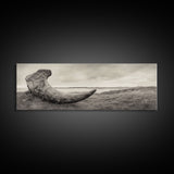 Driftwood Sculpture, Wabi Sabi Art, Canvas Print, Coastal Decor, Rustic Wall Art, Nature Photography, Extra Wide Art, Living Room Art