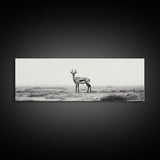 Lone Gazelle, moody art, southwest wall art, extra wide art, wabi sabi art, minimalist art, framed canvas print, panoramic painting