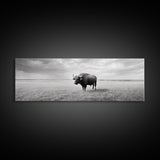 Lone buffalo, western landscape, rustic wall art, panoramic art, extra wide art, farmhouse decor, framed canvas print, wildlife painting, bull and bear art