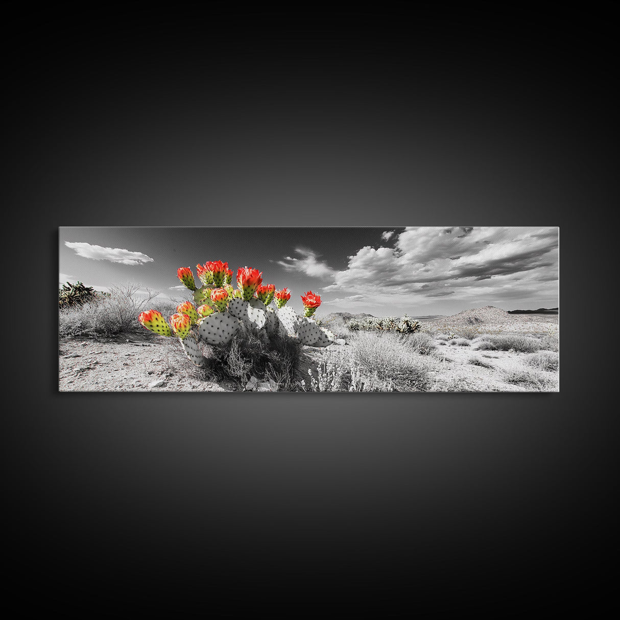 Cactus Blooms, Desert Art, Southwest Wall Art, Botanical Prints, Wildflower Painting, Extra Wide Art, Framed Canvas Print
