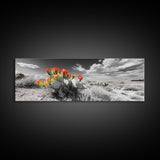 Cactus Blooms, Desert Art, Southwest Wall Art, Botanical Prints, Wildflower Painting, Extra Wide Art, Framed Canvas Print