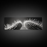 Desert Cactus, southwest wall art, moody art, Joshua tree art, extra wide wall art, nature photography, framed canvas print