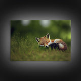 Cute Sleepy Fox Art, Animal Prints, Nature Art, Framed Canvas Print, Cute animal wall art, above sofa art