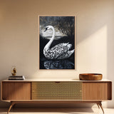 Elegant Gothic Swan Canvas Print | Framed Swan Poster Canvas | Wildlife Decor, animal prints, Swan Painting, Rustic Home Decor, Living Room Art