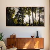 Sunlit Forest, Autumn Trees, Fall Home Decor, Framed Canvas Print, Nature Lover Gift, Cozy Wall Art, Woodland Art